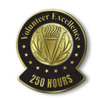 Volunteer Excellence - 250 Hours